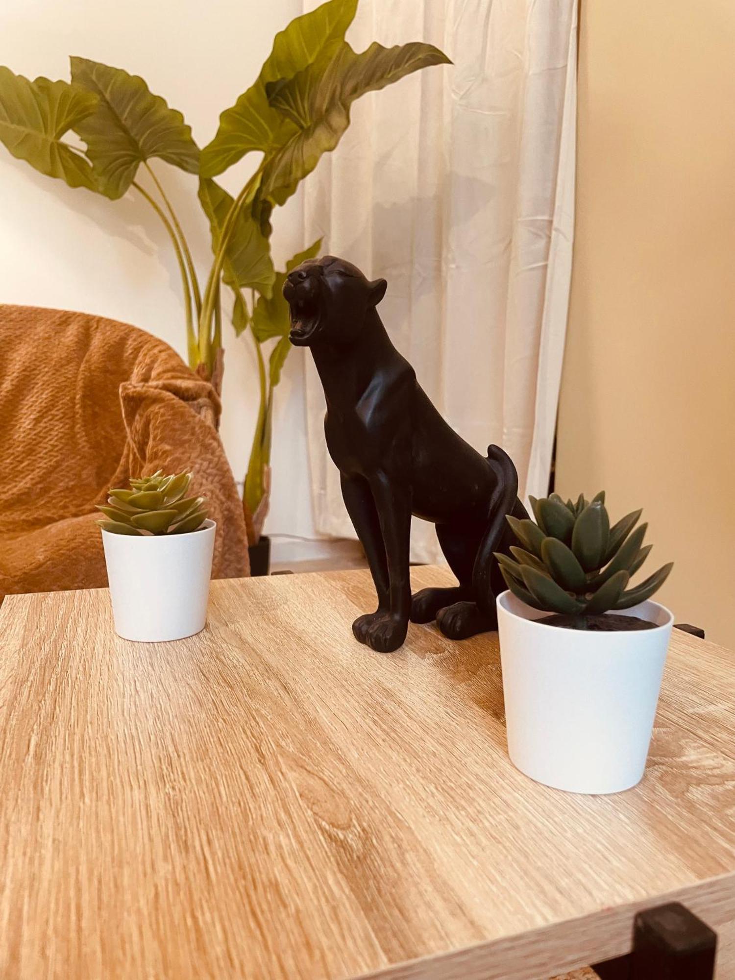 Jungle Love Room De L Hermitage 罗纳河畔的图尔农 外观 照片